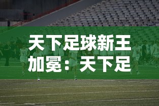 天下足球新王加冕：天下足球新王加冕了吗