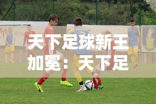 天下足球新王加冕:天下足球新王加冕了吗 天下足球新王加冕:天下足球新王加冕了吗