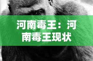 河南毒王：河南毒王现状