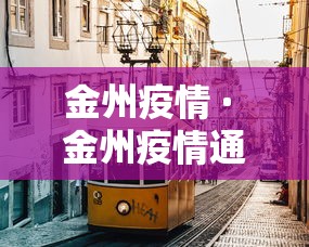 金州疫情 · 金州疫情通报 金州疫情 · 金州疫情通报