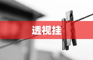 透视挂