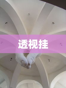 透视挂