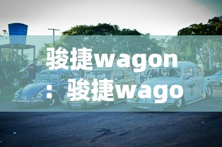 骏捷wagon：骏捷wagon全国有多少台