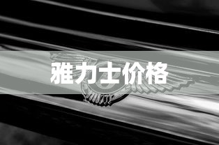 雅力士价格