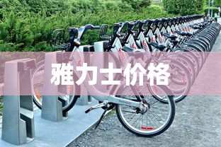 雅力士价格 雅力士价格