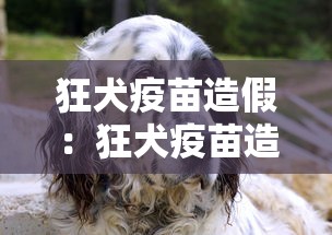 狂犬疫苗造假：狂犬疫苗造假事件处理结果官员