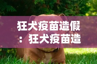 狂犬疫苗造假：狂犬疫苗造假事件处理结果官员