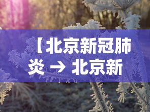 【北京新冠肺炎 → 北京新冠肺炎病毒现在的情况】