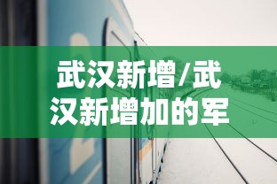 武汉新增/武汉新增加的军校有哪些