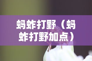 蚂蚱打野（蚂蚱打野加点）