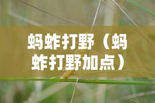 蚂蚱打野（蚂蚱打野加点）