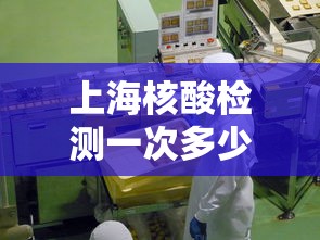 上海核酸检测一次多少钱