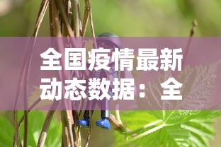 31省新增本土38例/31省新增本土病例33+10 31省新增本土38例/31省新增本土病例33+10
