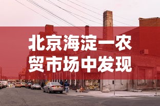 31省份新增本土确诊55例河南33例/31省份新增本土确诊108例河南疫情 31省份新增本土确诊55例河南33例/31省份新增本土确诊108例河南疫情