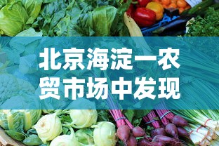 胡侦探传说之云雾度假村的无头尸(胡侦探传说之云雾度假村的无头尸下载) 胡侦探传说之云雾度假村的无头尸(胡侦探传说之云雾度假村的无头尸下载)