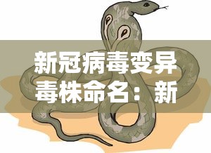新冠病毒变异毒株命名：新冠变异毒株名称