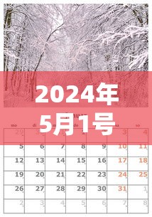 2024年5月1号限行(5月24日限号) 2024年5月1号限行(5月24日限号)