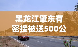 黑龙江肇东有密接被送500公里外隔离:肇东疫情隔离 黑龙江肇东有密接被送500公里外隔离:肇东疫情隔离