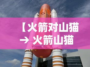 【火箭对山猫 → 火箭山猫活塞哪支球队没有获得过总冠军】 【火箭对山猫 → 火箭山猫活塞哪支球队没有获得过总冠军】