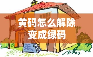 黄码怎么解除变成绿码 黄码怎么解除变成绿码