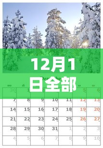 【离穗 → 离穗是广东还是广州】