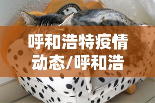 呼和浩特疫情动态/呼和浩特疫情最新通告 呼和浩特疫情动态/呼和浩特疫情最新通告
