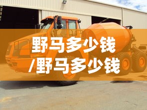 野马多少钱/野马多少钱一辆?