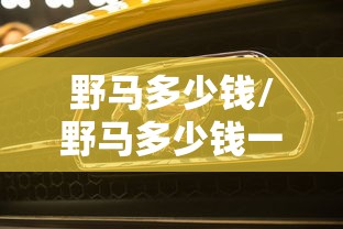 野马多少钱/野马多少钱一辆?