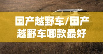 国产越野车/国产越野车哪款最好最实用