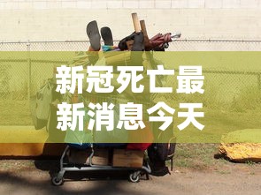 新冠死亡最新消息今天/新冠死亡病例最新 新冠死亡最新消息今天/新冠死亡病例最新