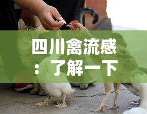 黄岛疫情最新消息:青岛黄岛疫情最新公布情况 黄岛疫情最新消息:青岛黄岛疫情最新公布情况