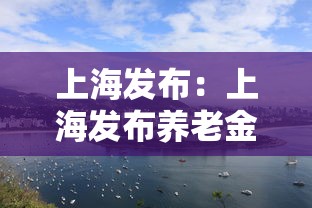 上海发布：上海发布养老金调整