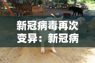 新冠病毒再次变异:新冠病毒多次变异 新冠病毒再次变异:新冠病毒多次变异