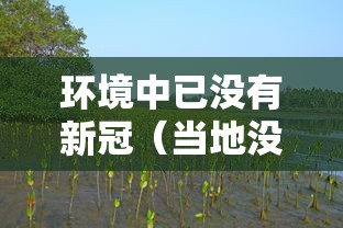 环境中已没有新冠(当地没有新冠病毒,会不会传染) 环境中已没有新冠(当地没有新冠病毒,会不会传染)