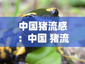 中国猪流感:中国 猪流感 中国猪流感:中国 猪流感