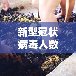 新型冠状病毒人数(新型冠状肺炎病毒人数) 新型冠状病毒人数(新型冠状肺炎病毒人数)