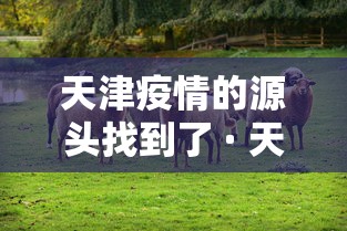 舞钢疫情/舞钢疫情期间赌博被抓