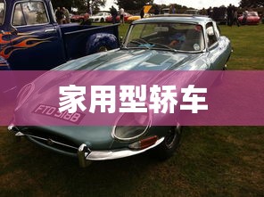 家用型轿车 家用型轿车
