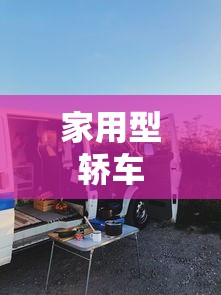 家用型轿车 家用型轿车