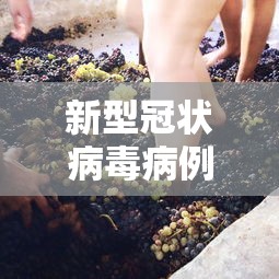 新型冠状病毒病例症状 · 新型冠状病毒病例是什么症状 新型冠状病毒病例症状 · 新型冠状病毒病例是什么症状