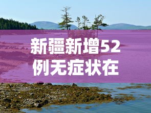 新疆新增52例无症状在伊犁博州阿克苏