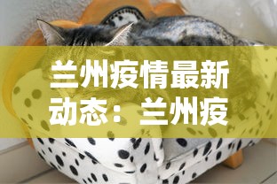 湖北新增1921例确诊病例(湖北新增1921例确诊病例多少) 湖北新增1921例确诊病例(湖北新增1921例确诊病例多少)