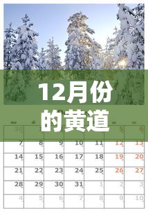 12月份的黄道吉日查询/12月份黄道吉日一览表2020 12月份的黄道吉日查询/12月份黄道吉日一览表2020