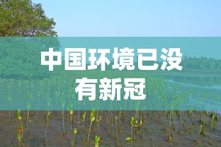 中国环境已没有新冠 中国环境已没有新冠
