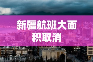 新疆航班大面积取消