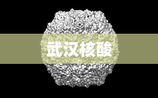 武汉核酸 武汉核酸