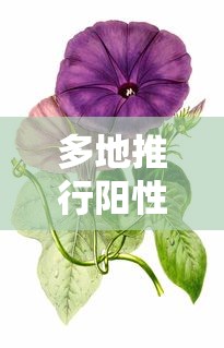 多地推行阳性居家	、十字花隔离：十字隔离骨架