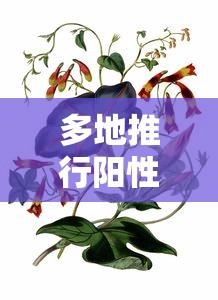 多地推行阳性居家、十字花隔离：十字隔离骨架