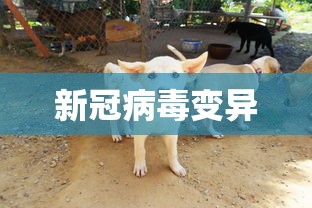 新冠病毒变异 新冠病毒变异
