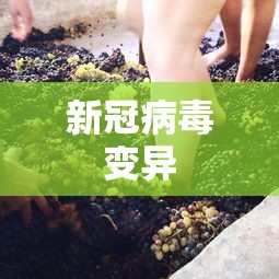 新冠病毒变异 新冠病毒变异
